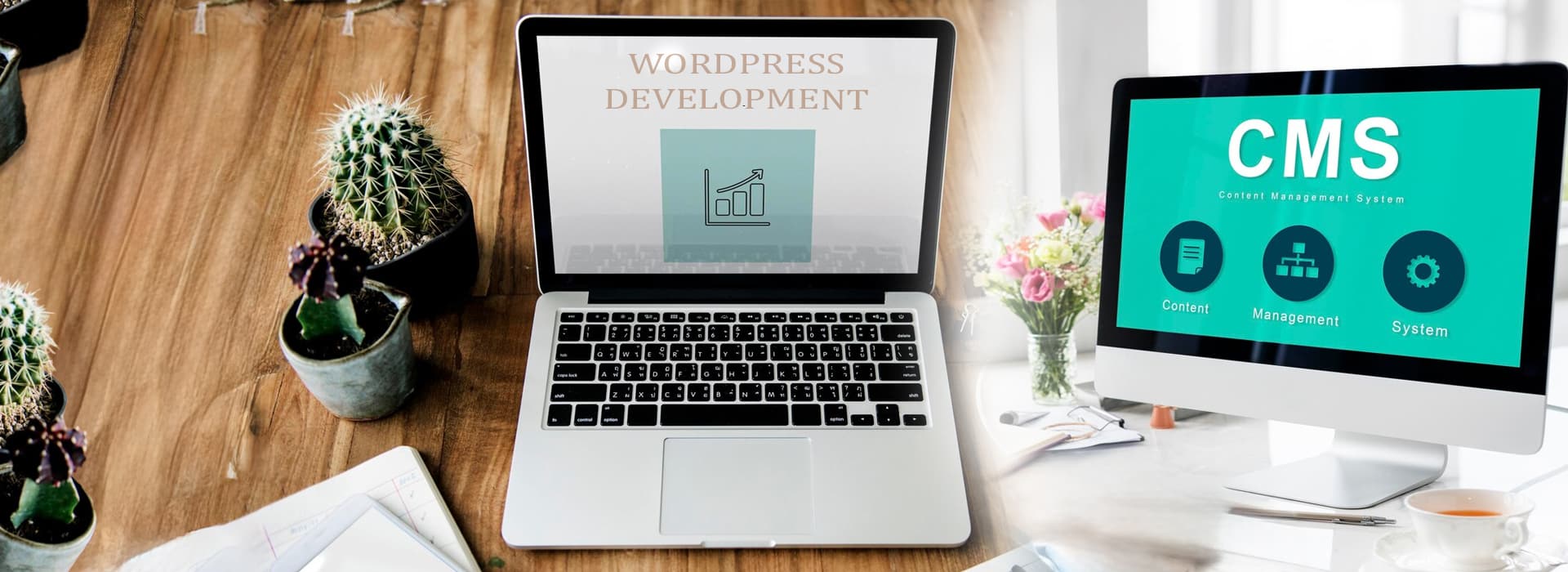 Why Indian WordPress Development Companies Are In Top?