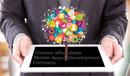 Specializing Apps for Growing Businesses: Flexible, Secure and Seamless Mobile Apps