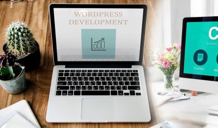 Why Indian WordPress Development Companies Are In Top?