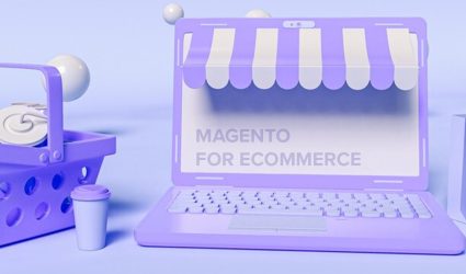 Why Magento is Highly Selected For The eCommerce?